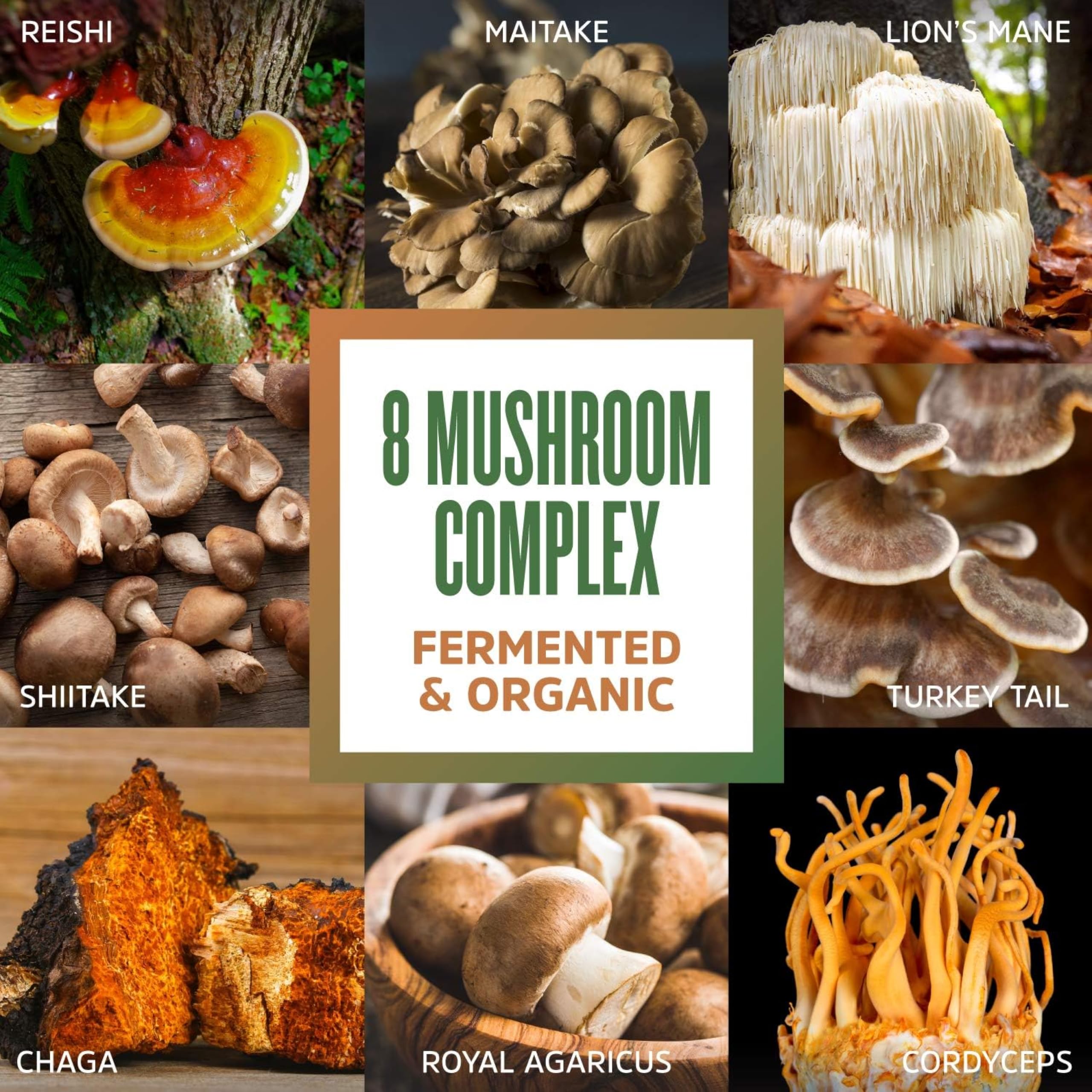 Cucharas con porciones de las setas de ZHOU Mushroom 8-Plex, visual de ingredientes variados