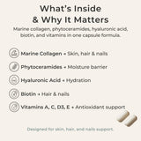 Zivere Zi-Collagen cápsula en mano para comparar tamaño