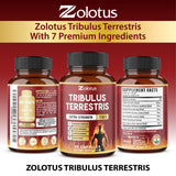 Zolotus frasco en ambiente lifestyle sugiriendo energía y rutina saludable