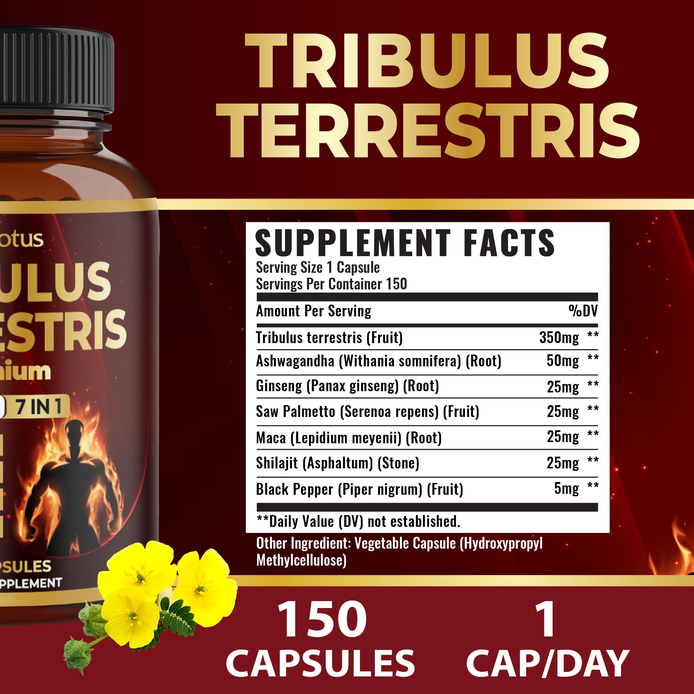 Zolotus cápsula en primer plano que muestra textura y fácil ingestión