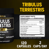 Zolotus cápsulas vista de cerca texturas claras y beneficio de pureza
