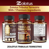 Zolotus detalle de ingredientes como shilajit para potenciar biodisponibilidad