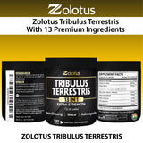 Zolotus complemento en contexto activo estilo de vida para vitalidad