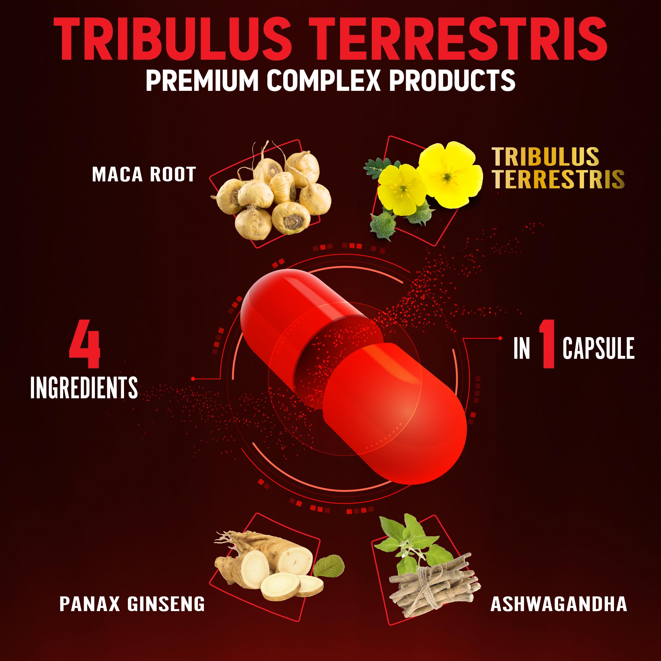 Zolotus etiqueta ingredientes primer plano para ver composición