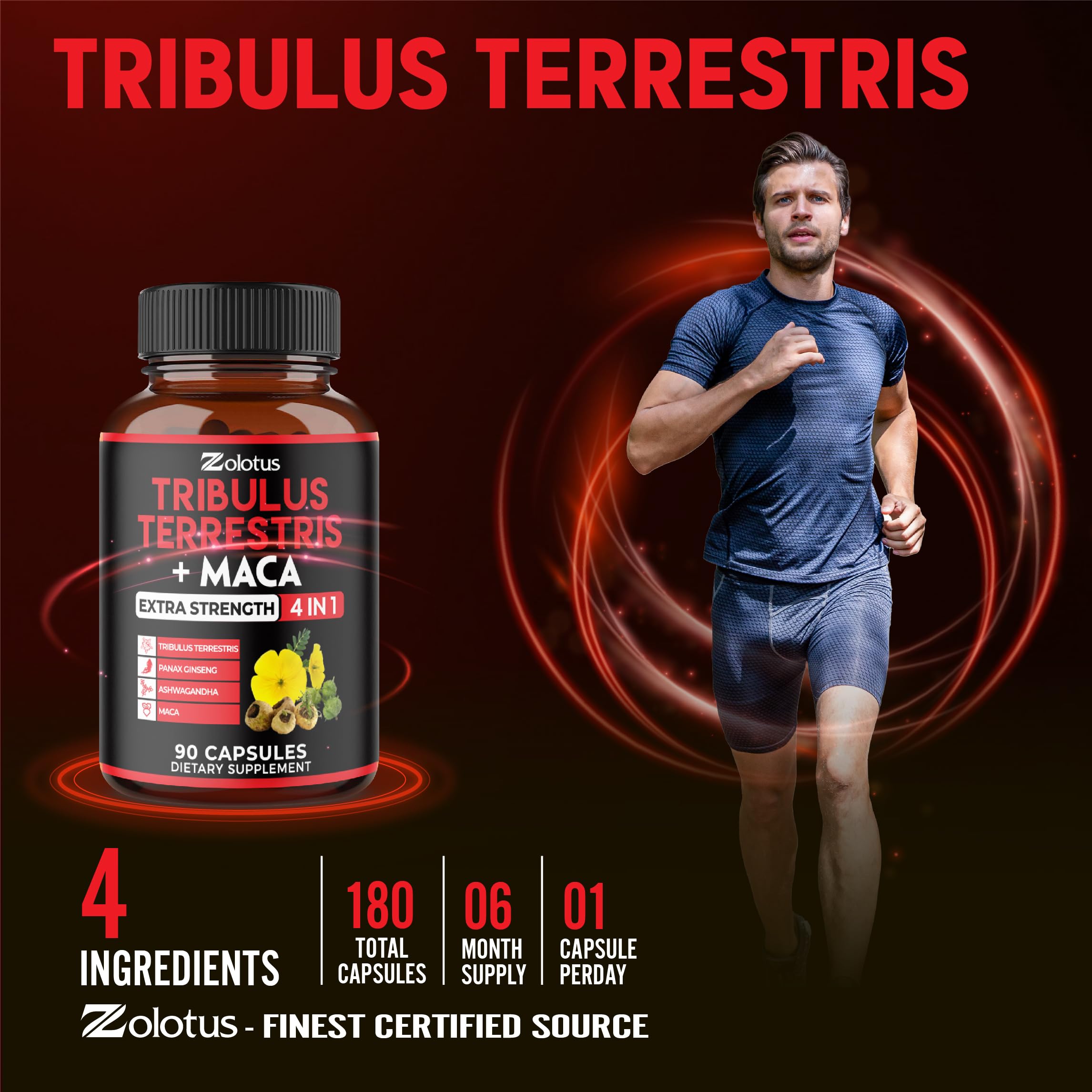 Zolotus etiqueta de ingredientes listando Tribulus Maca Ashwagandha Ginseng