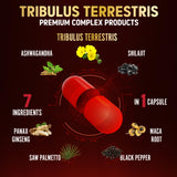 Zolotus etiqueta con lista de ingredientes, transparencia sobre fórmula y componentes
