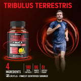 Zolotus etiqueta de ingredientes listando Tribulus Maca Ashwagandha Ginseng