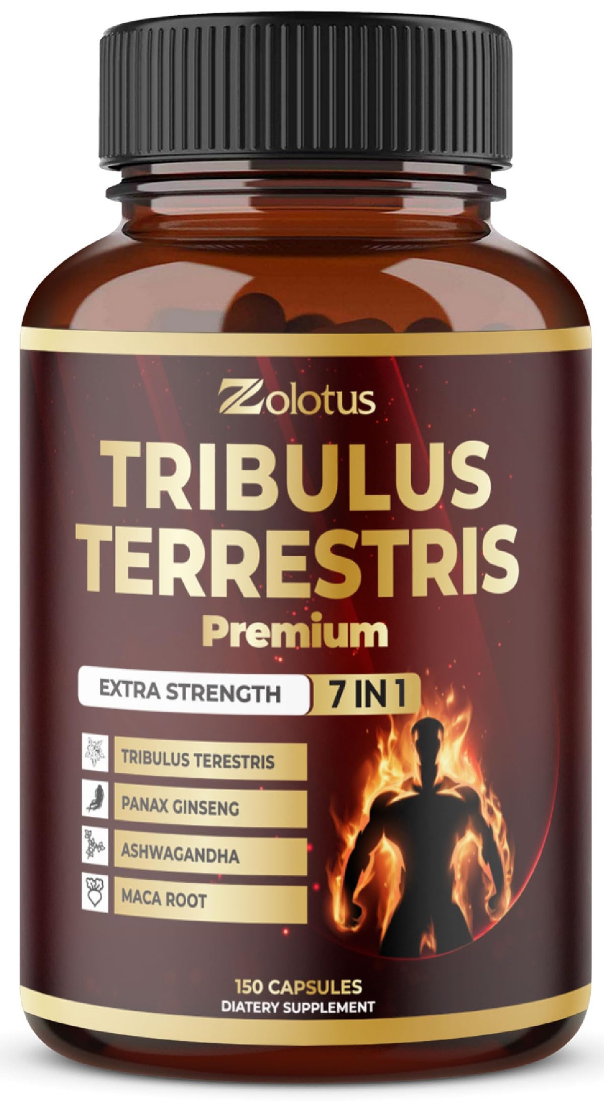 Zolotus frasco frontal mostrando la etiqueta y beneficio de suministro prolongado