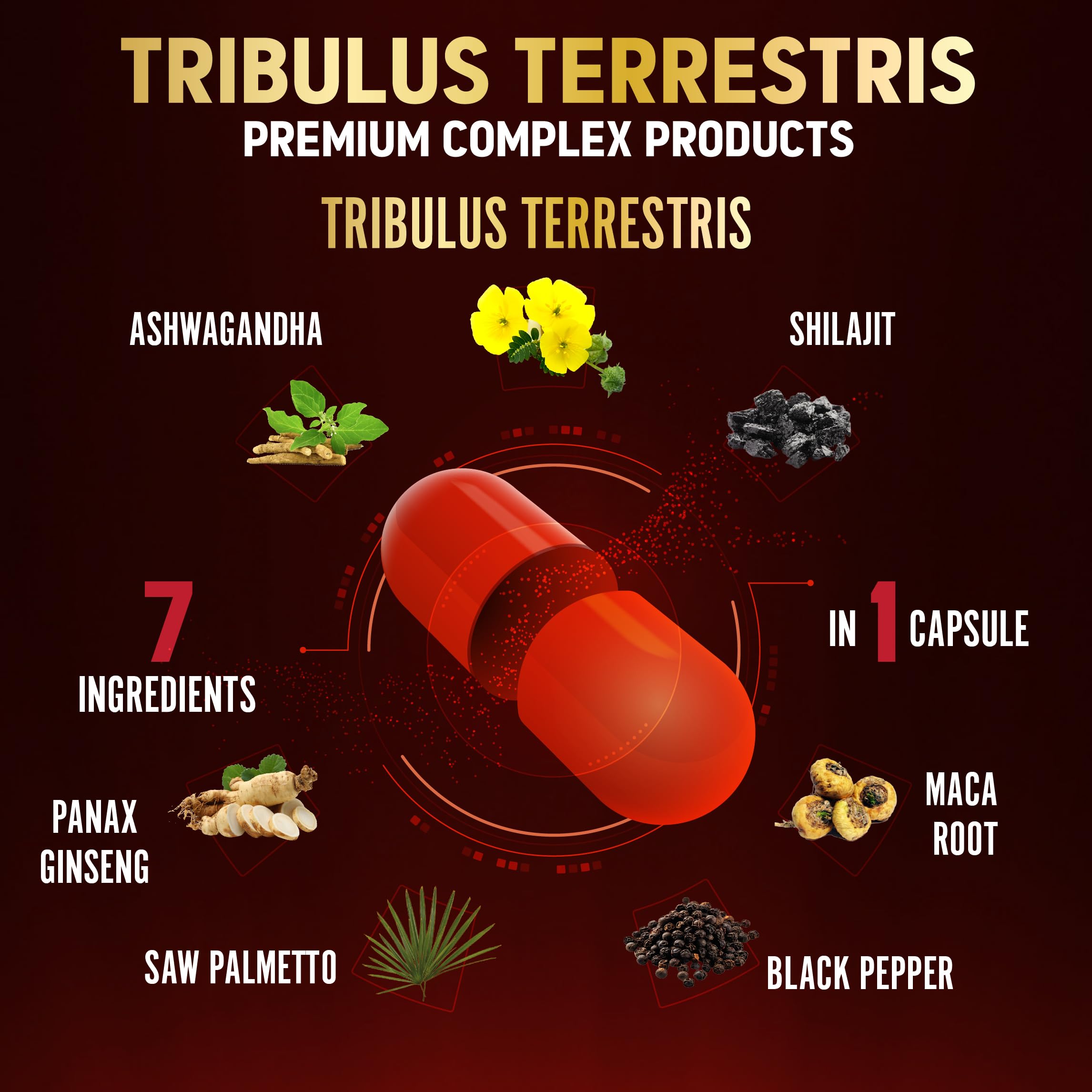 Zolotus ingredientes en mesa que destacan mezcla herbal y beneficios combinados