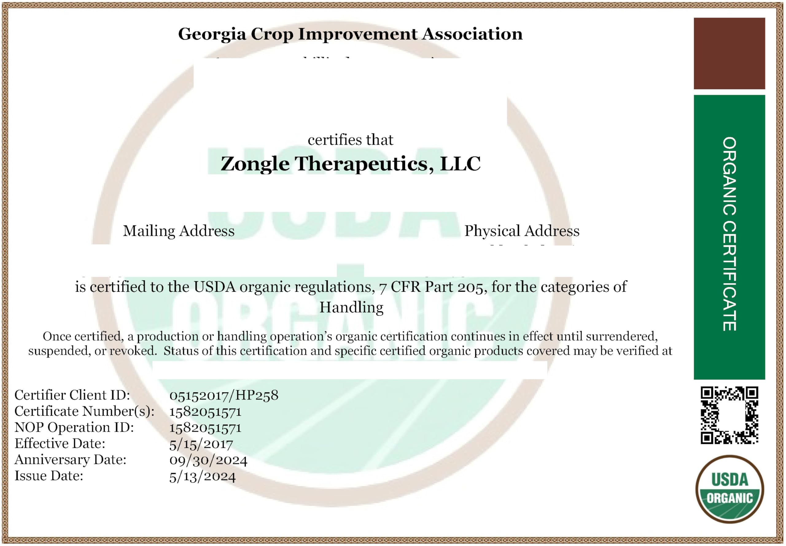 Zongle Therapeutics ambiente hogareño relajado con aroma de menta natural
