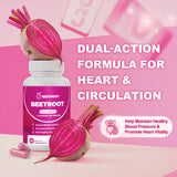 ZyliaVitaX primer plano de polvo de remolacha orgánica y pureza