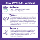ZYMPAL cápsulas junto a alimentos grasos para alivio tras comidas