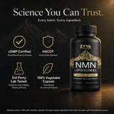 ZYVA Scientific mano sosteniendo una cápsula para tamaño y conveniencia